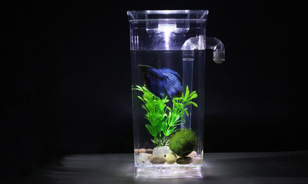 Self Cleaning Fish Tank Complete Aquarium Setup Brand New