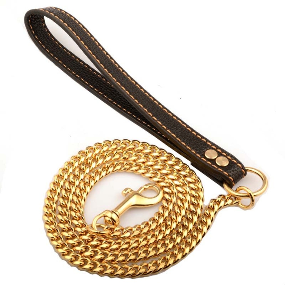 gold dog chain and leash