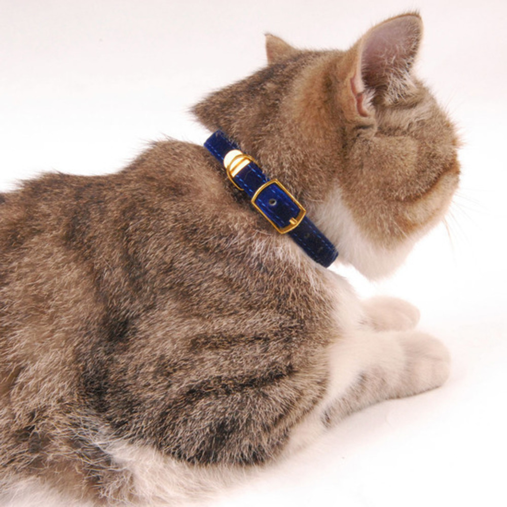 High Quality Designer Cat Collar. Metal Hardware Gold Tip, Soft Safe
