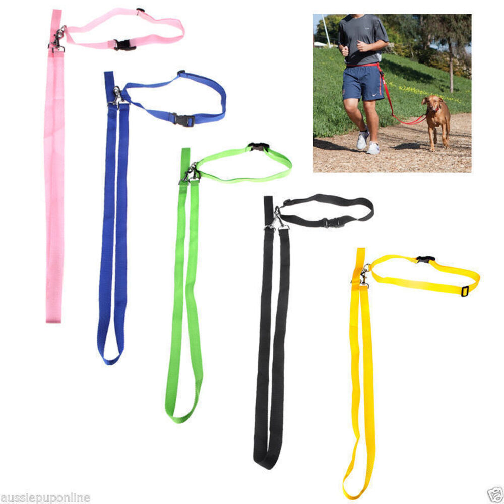 Handsfree Dog leash - Unbranded