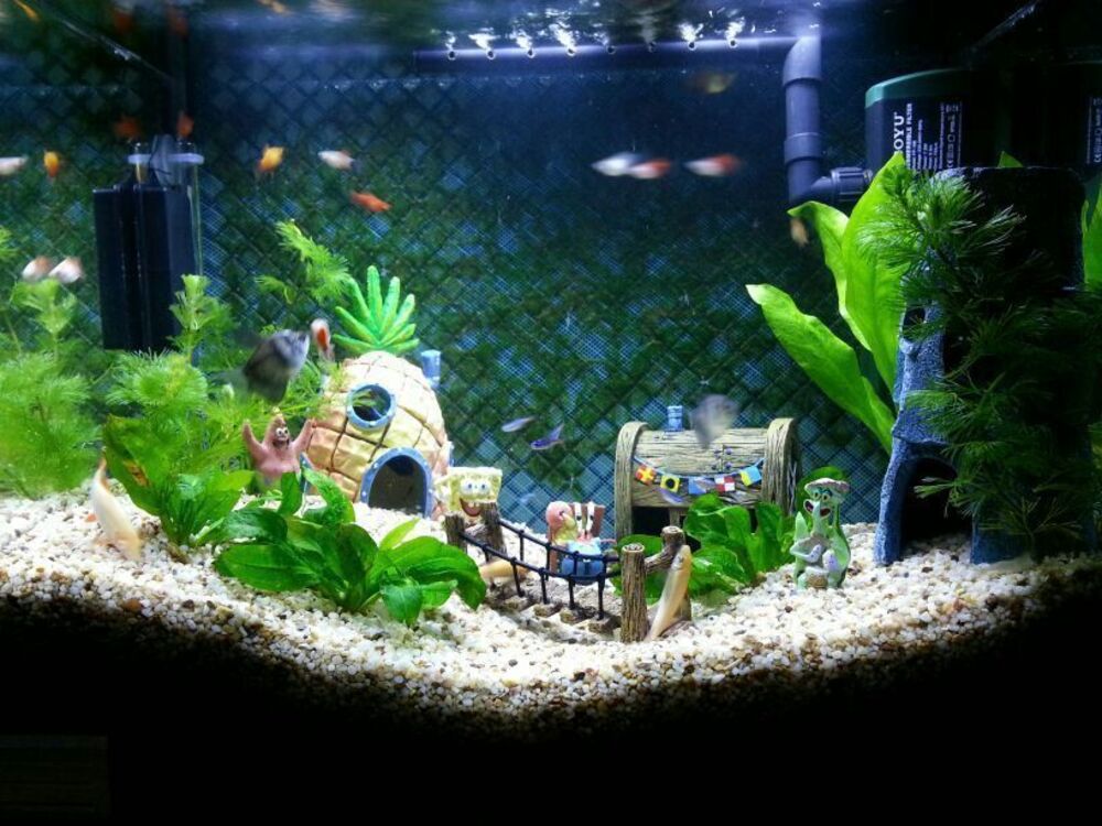 spongebob fish tank decor