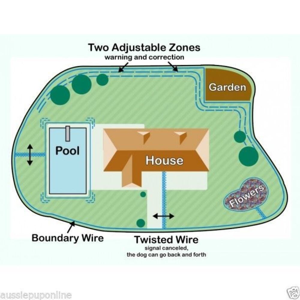 w227 electronic fencing system