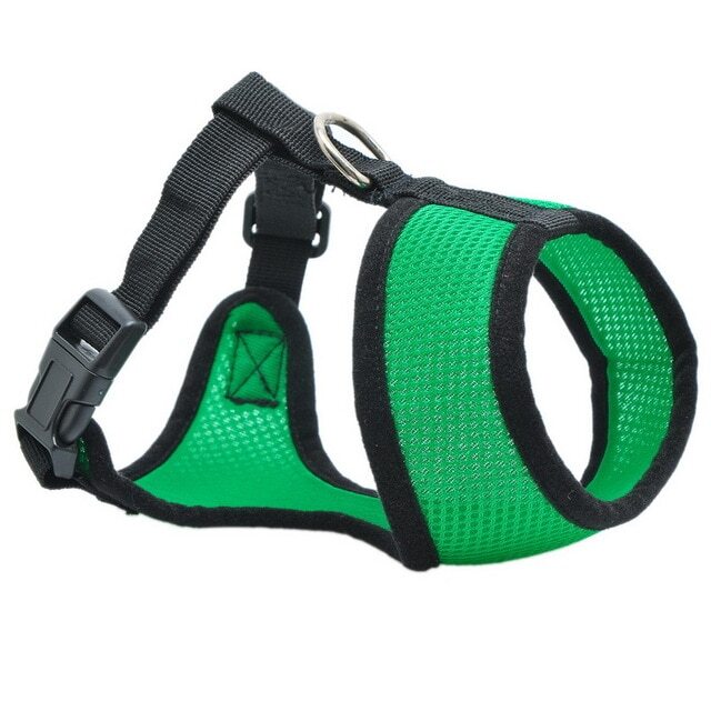 Airmesh Dog Harness - Small Breeds - Travel Vest - Walking Summer Harness - Picture 22 of 40