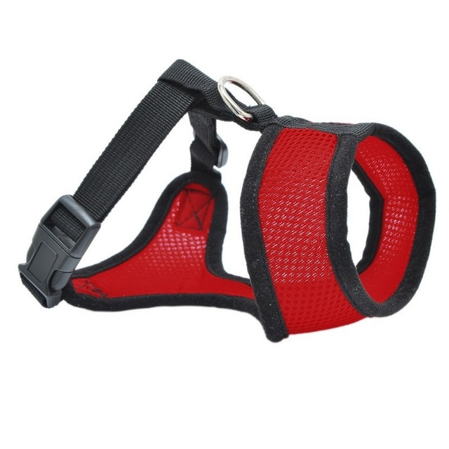 Airmesh Dog Harness - Small Breeds - Travel Vest - Walking Summer Harness - Picture 35 of 40