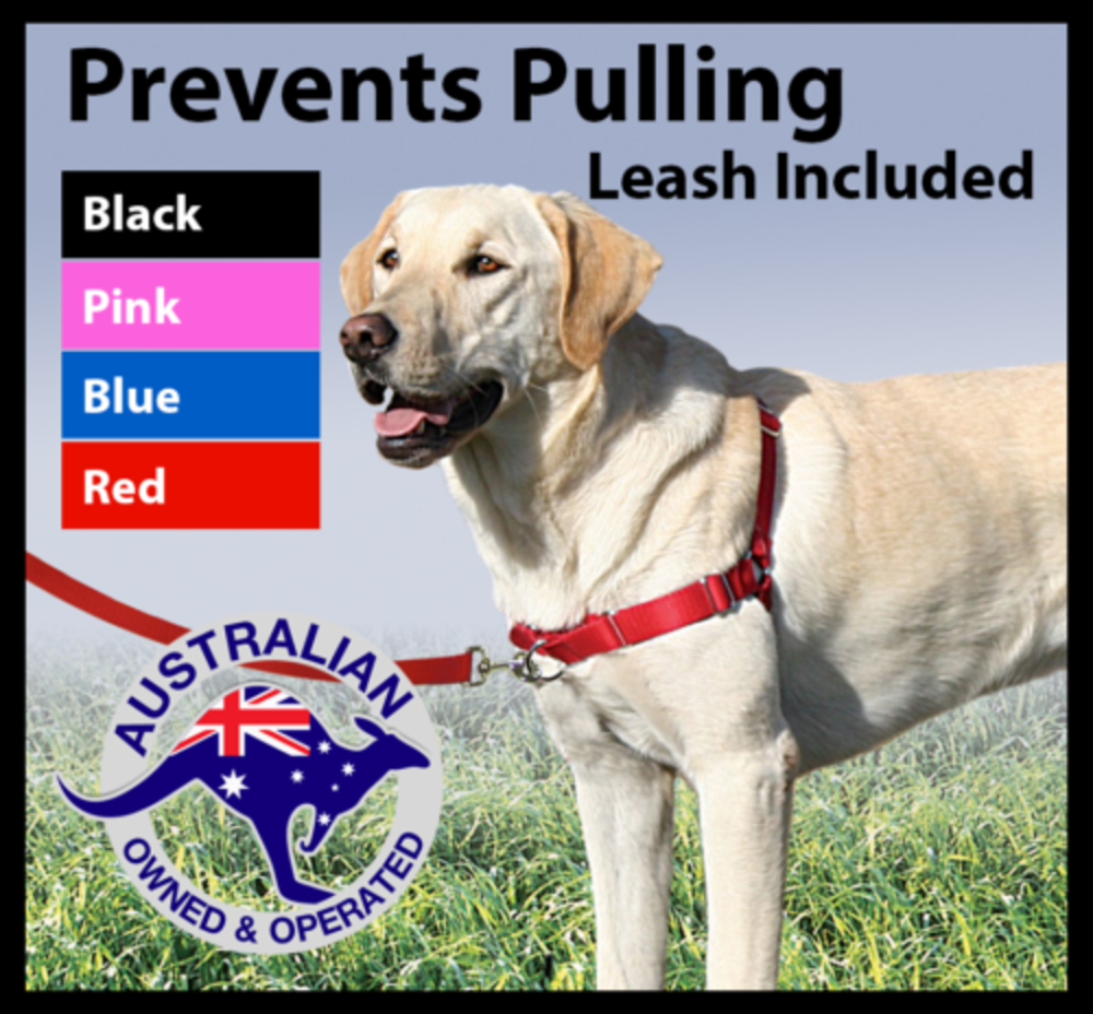 gentle walk harness