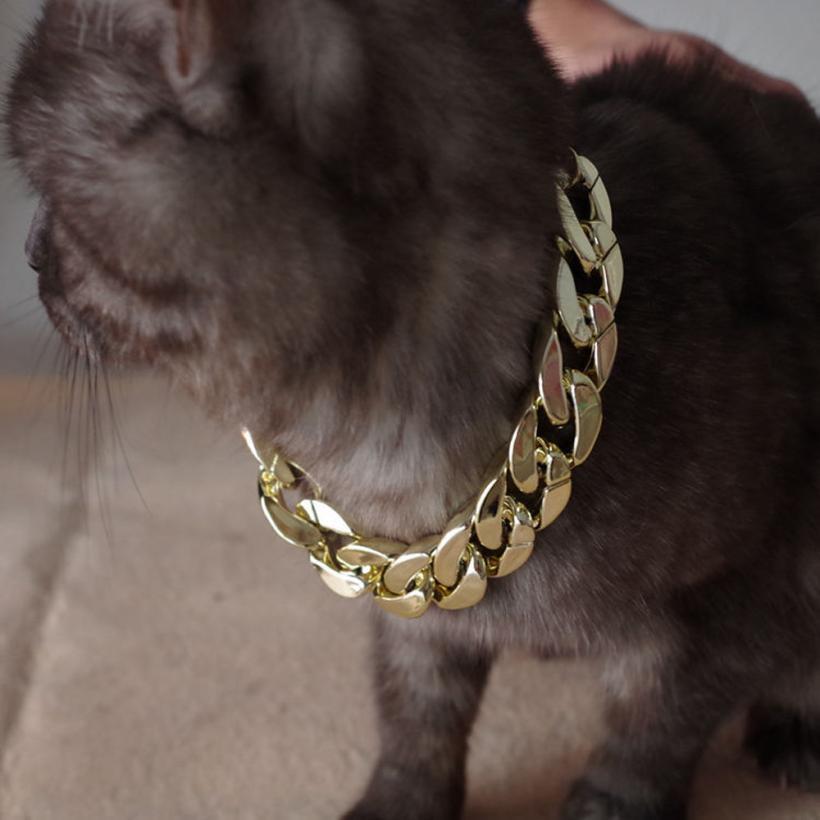 gold cat collar
