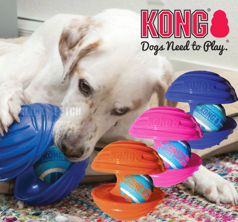 kong rambler