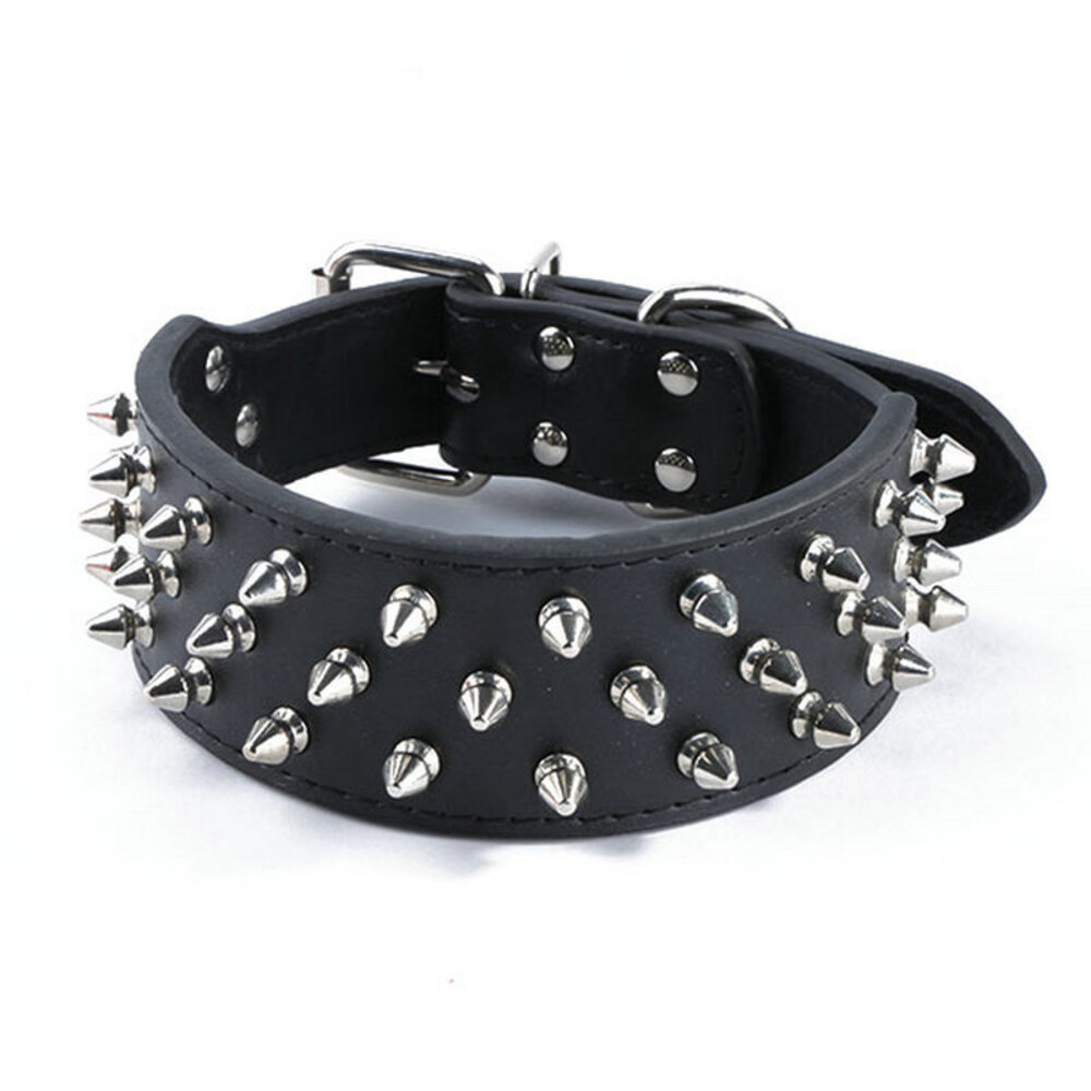 spike dog collar amazon spike dog collar amazon