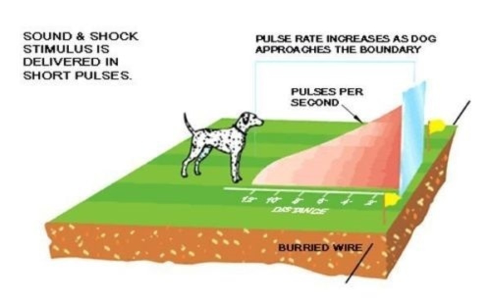 wireless dog fence custom boundary