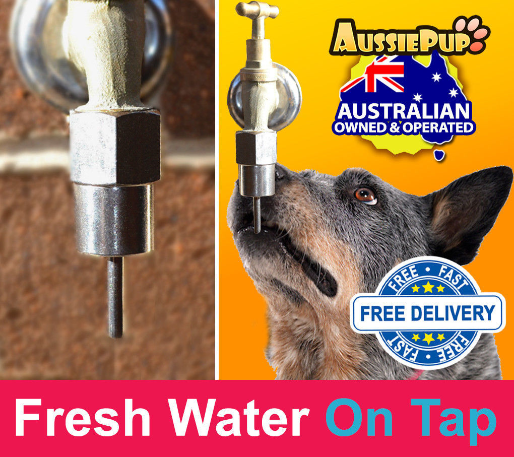 Dog Kennel Drinker Tap Self Feeder Self Waterer Hands Free Dog