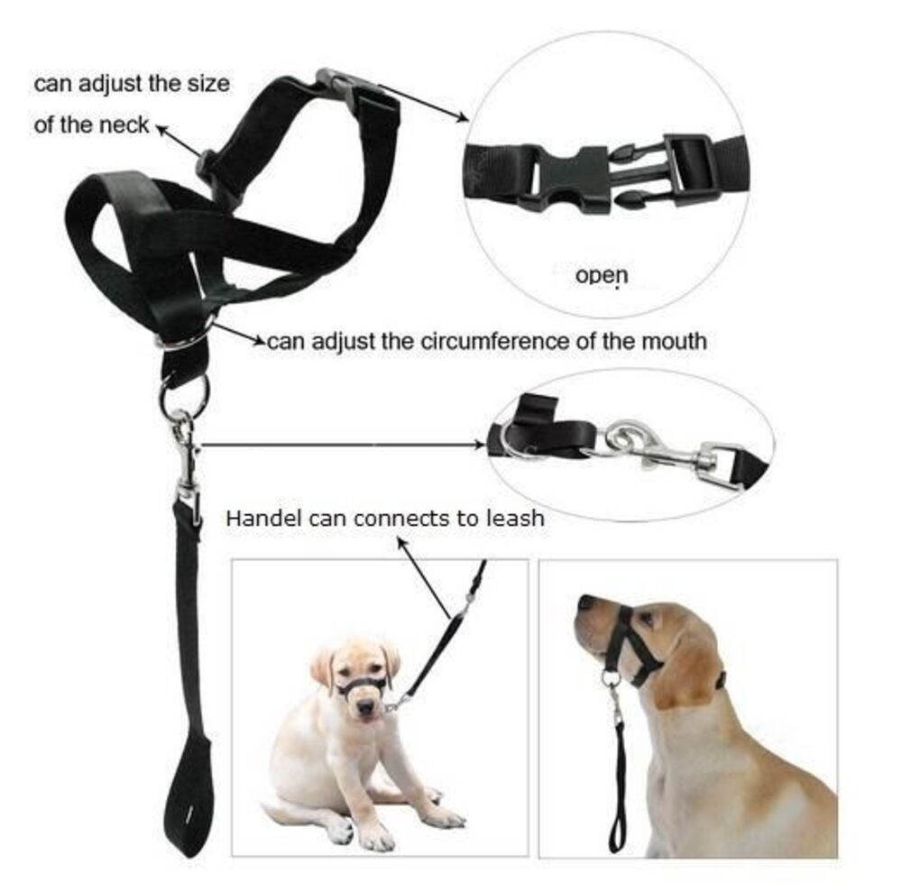 no pull dog lead figure of 8