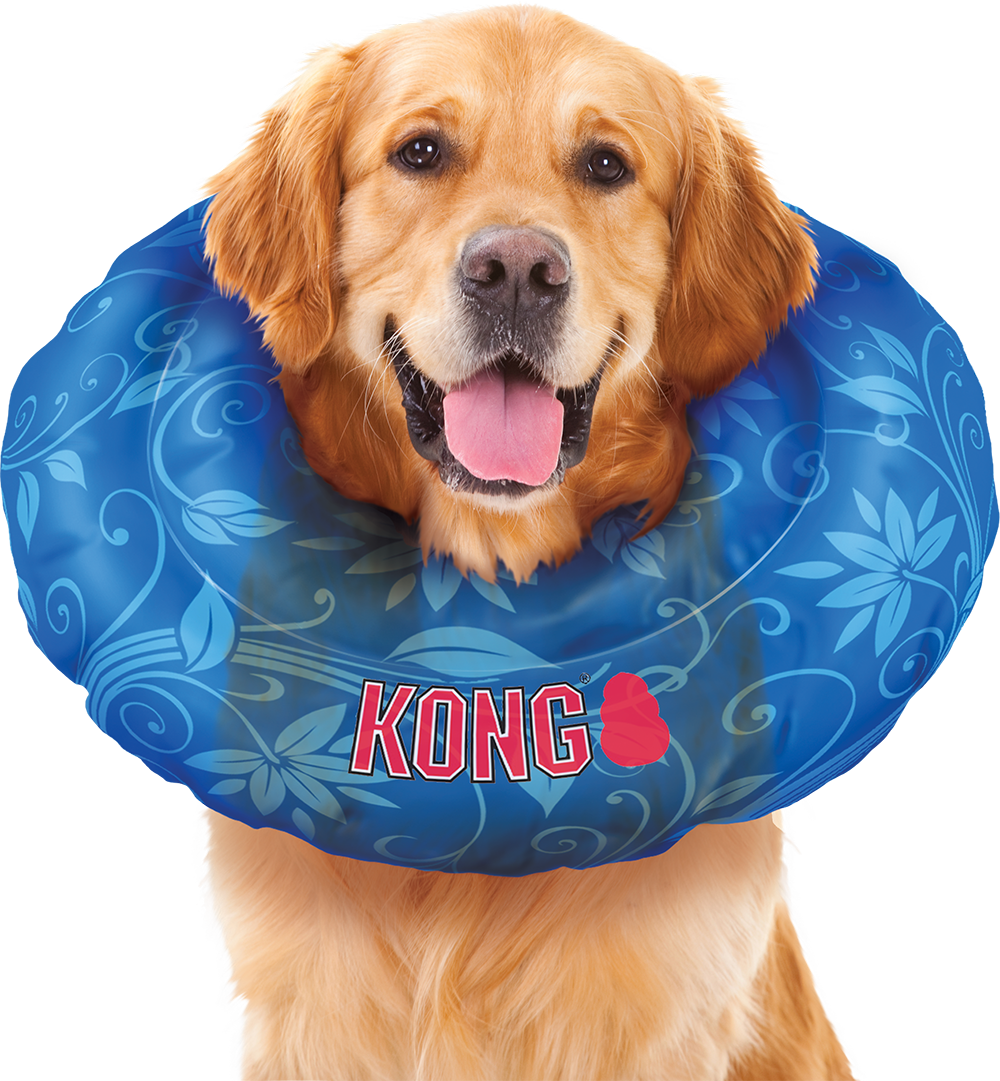 kong soft cone