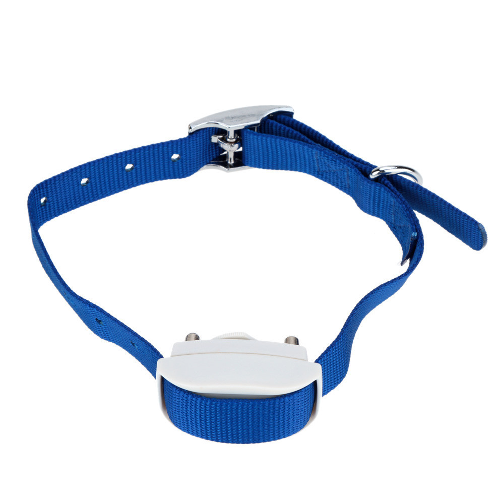 Small Dog Bark Collars Australia Small Dog Bark Collars Australia