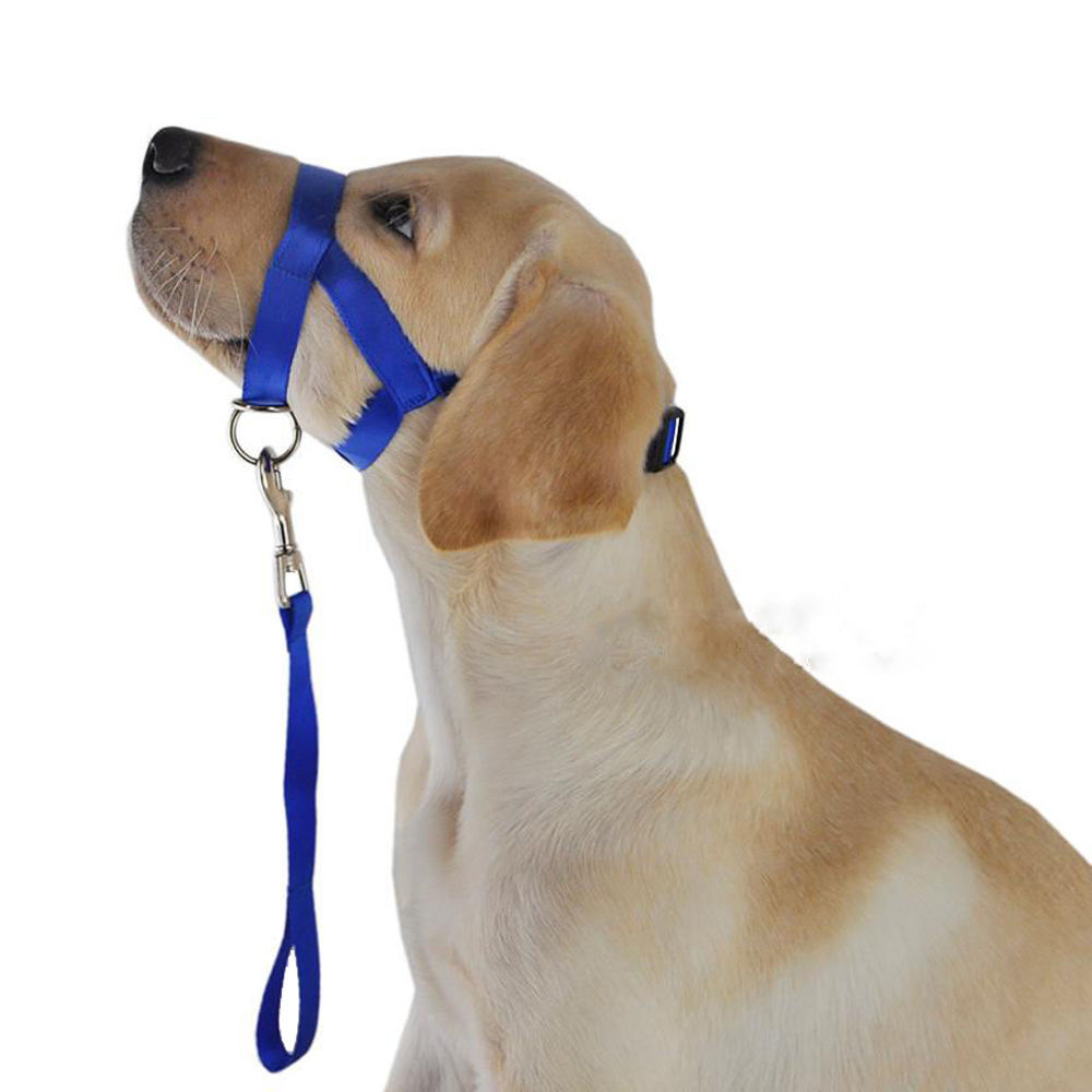Halter Harness Dog Puppy Training Halti Walk Lead No Pull Gentle Head Leader - Picture 58 of 60