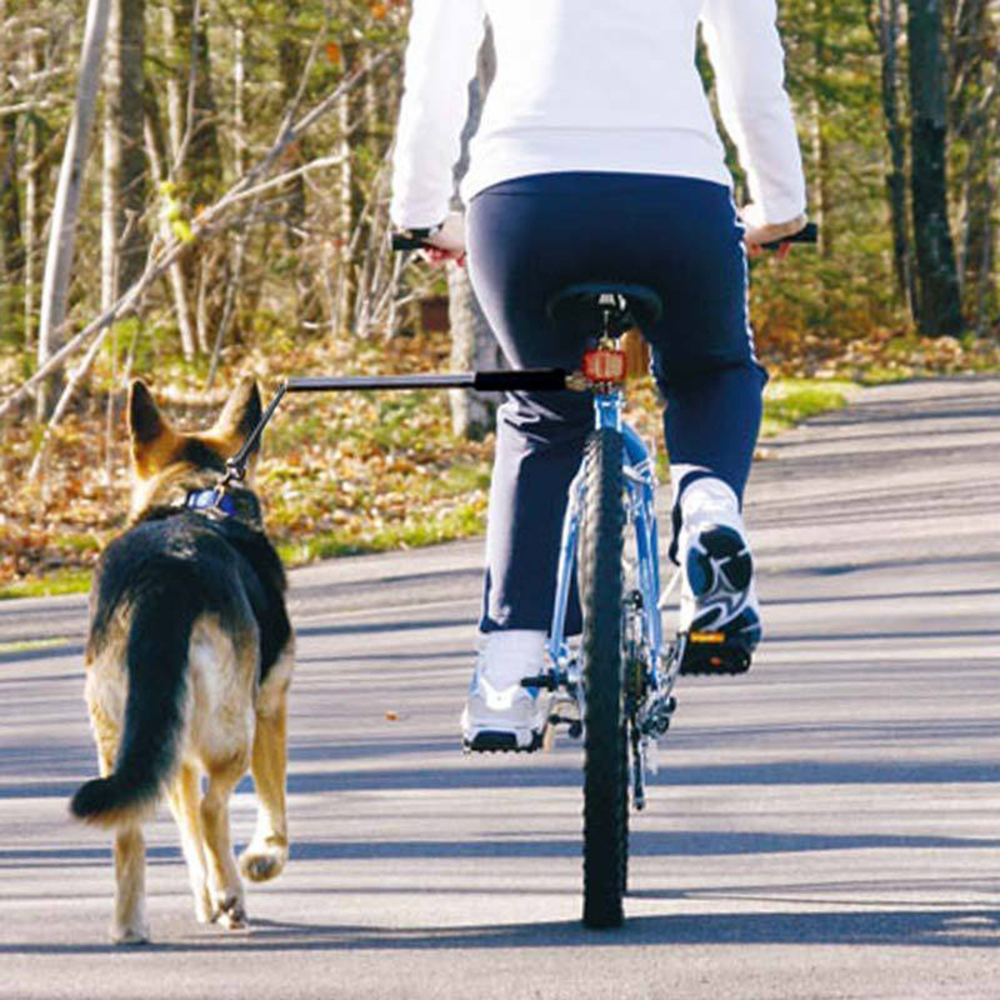 Можно ездить на собаке. Велоспрингер Trixie для крупных собак. Прогулка с собакой на велосипеде. Приспособление для собак на велосипед. Езда на велосипеде с собакой.