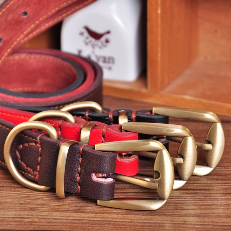 Leather Dog Collar - Sturdy Brass Buckle - Mr Dog