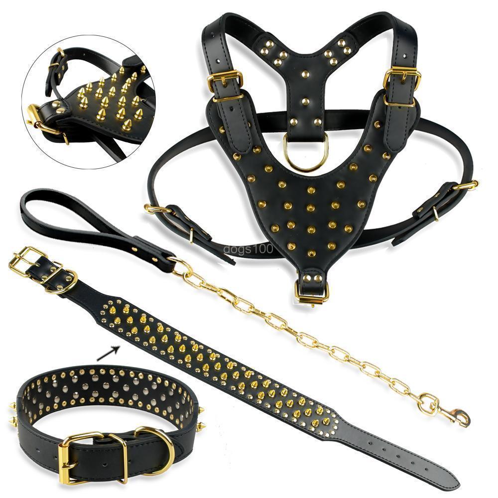 Dog Gold Bully Harness Collar Leash Set for Large Dogs *Big Dog Chain Leash* - Picture 8 of 13