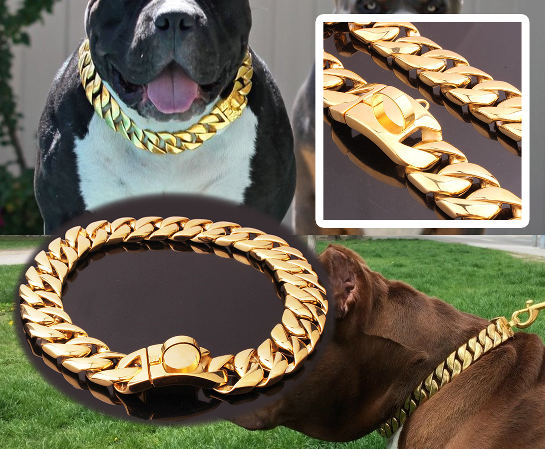 gold necklace dog collar