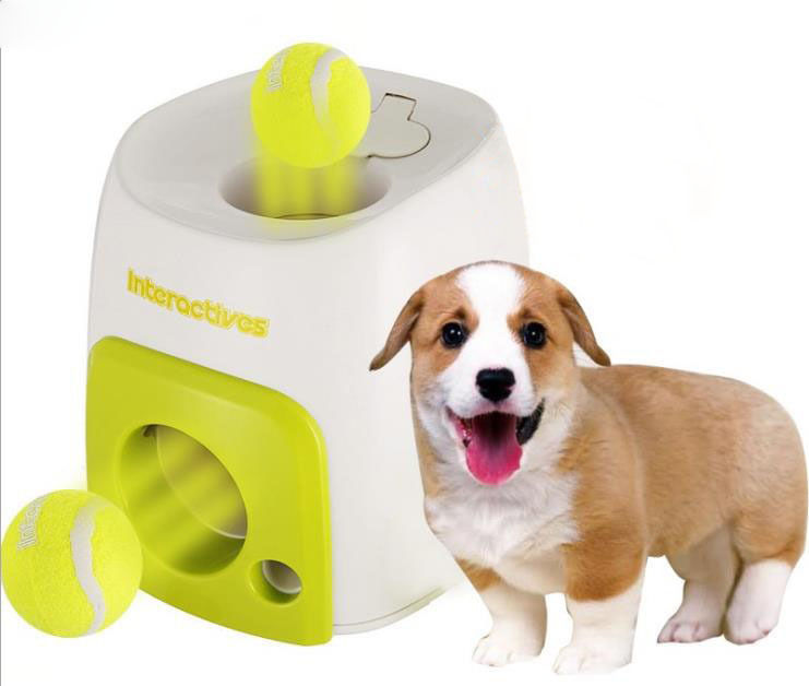 i fetch dog toy