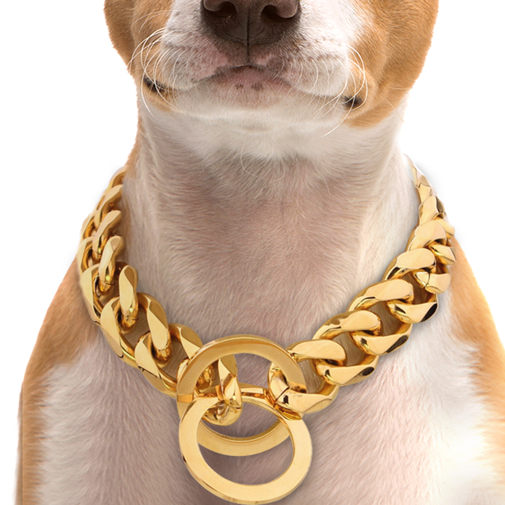 gold choke chain dog collar