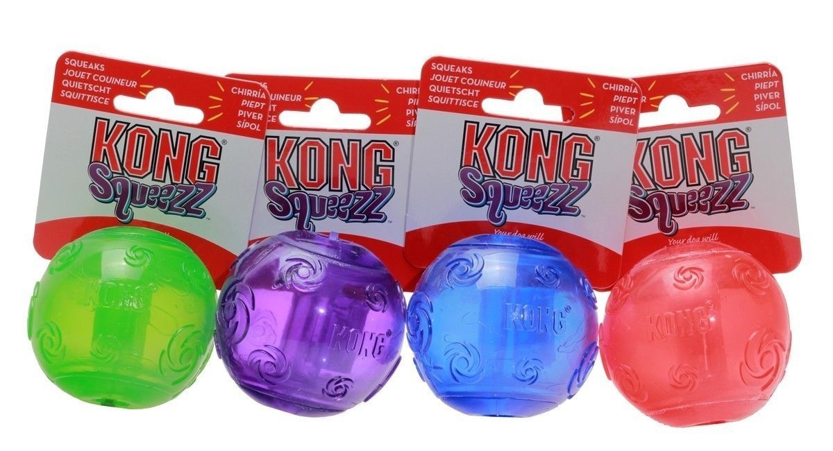 kong squeaky dog balls