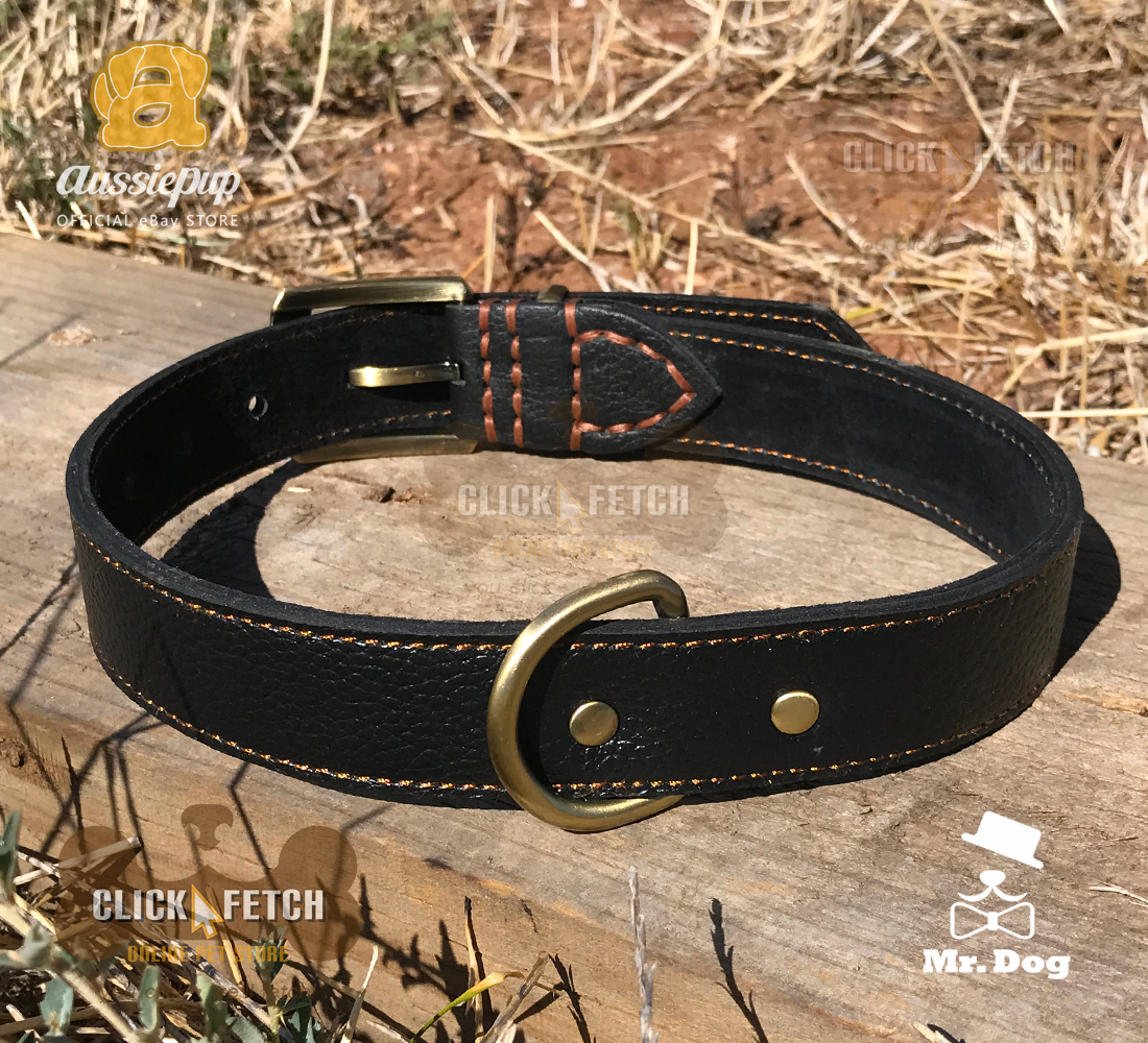 Brass Buckle Collar - Black [Medium]