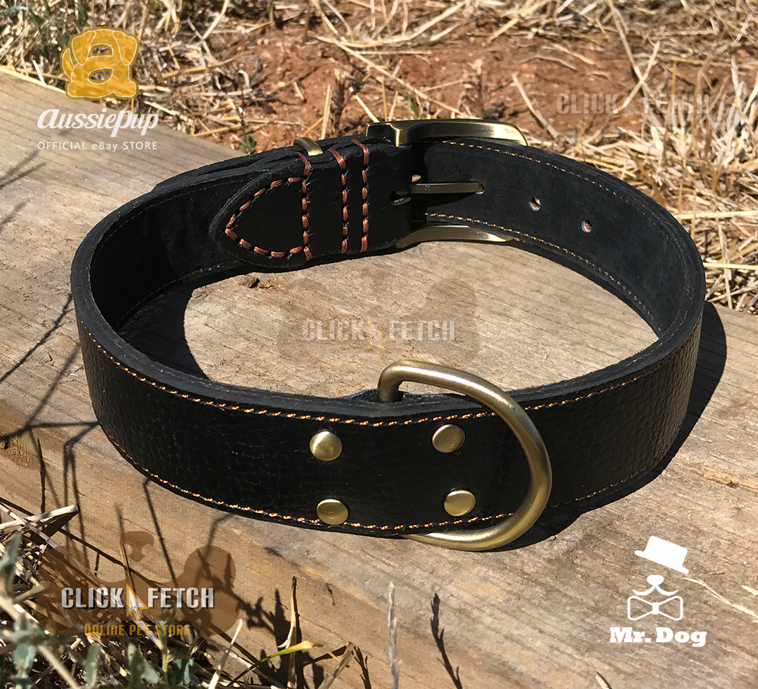 Brass Buckle Collar - Black [Extra Large]