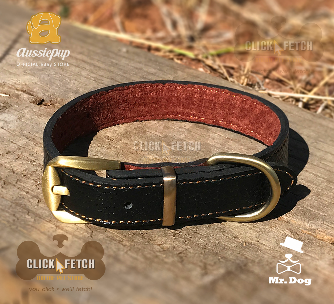 Brass Buckle Collar - Black [Small]