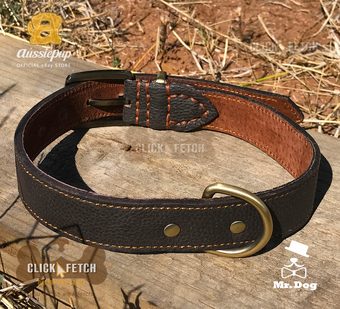 Brass Buckle Collar - Brown [Medium]