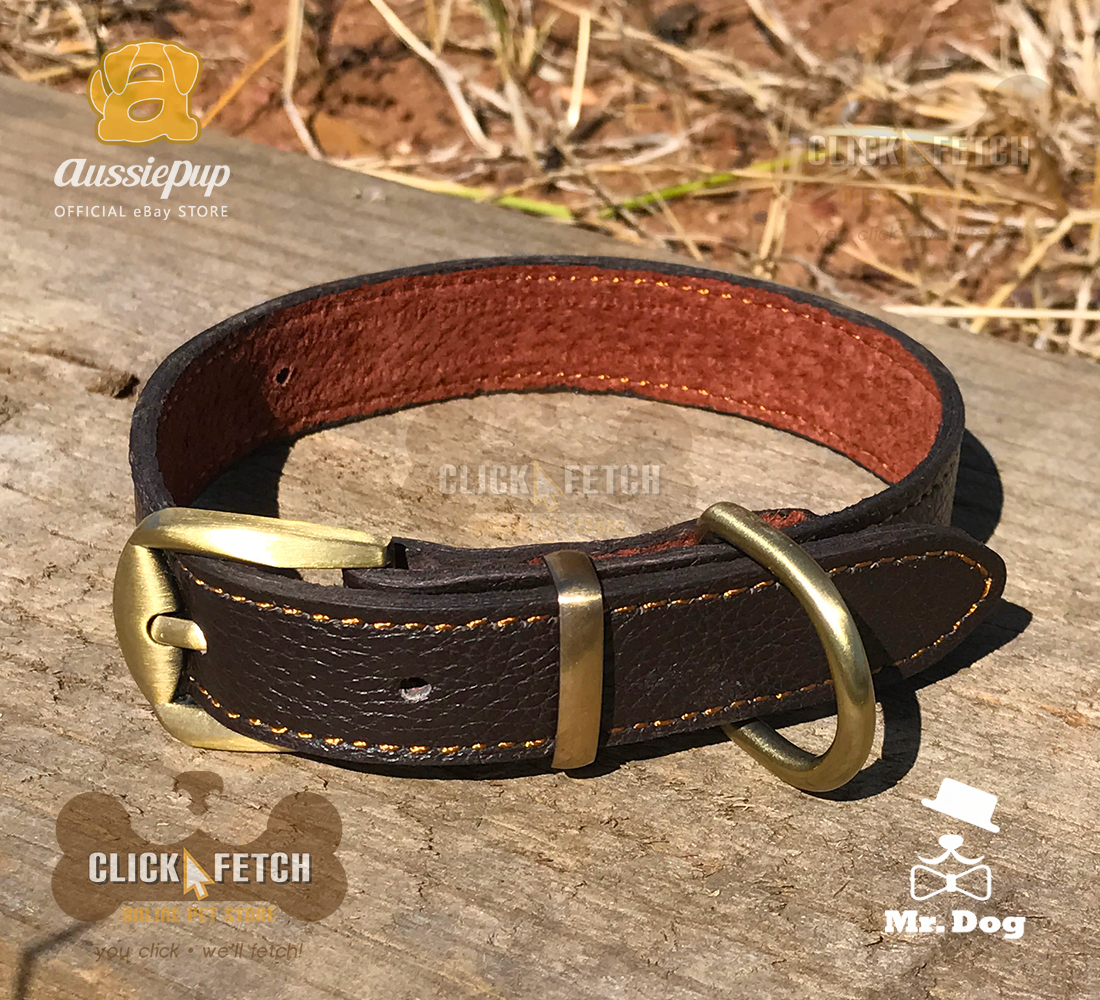 Brass Buckle Collar - Brown [Small]