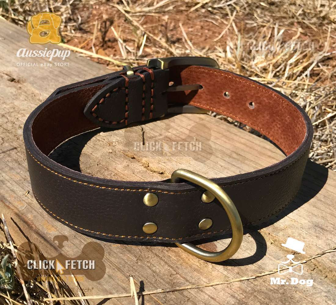 Brass Buckle Collar - Brown [Extra Large]