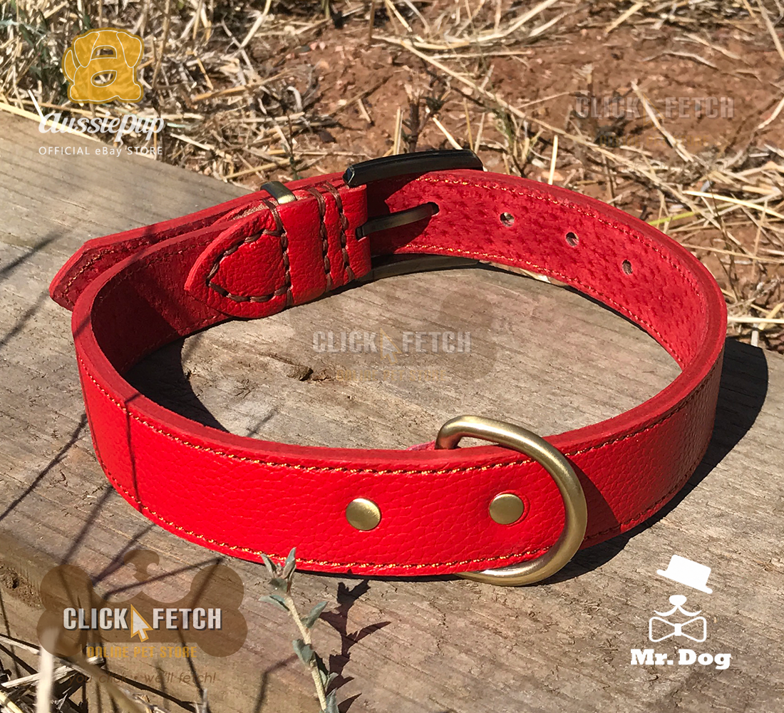 Brass Buckle Collar - Red [Large]