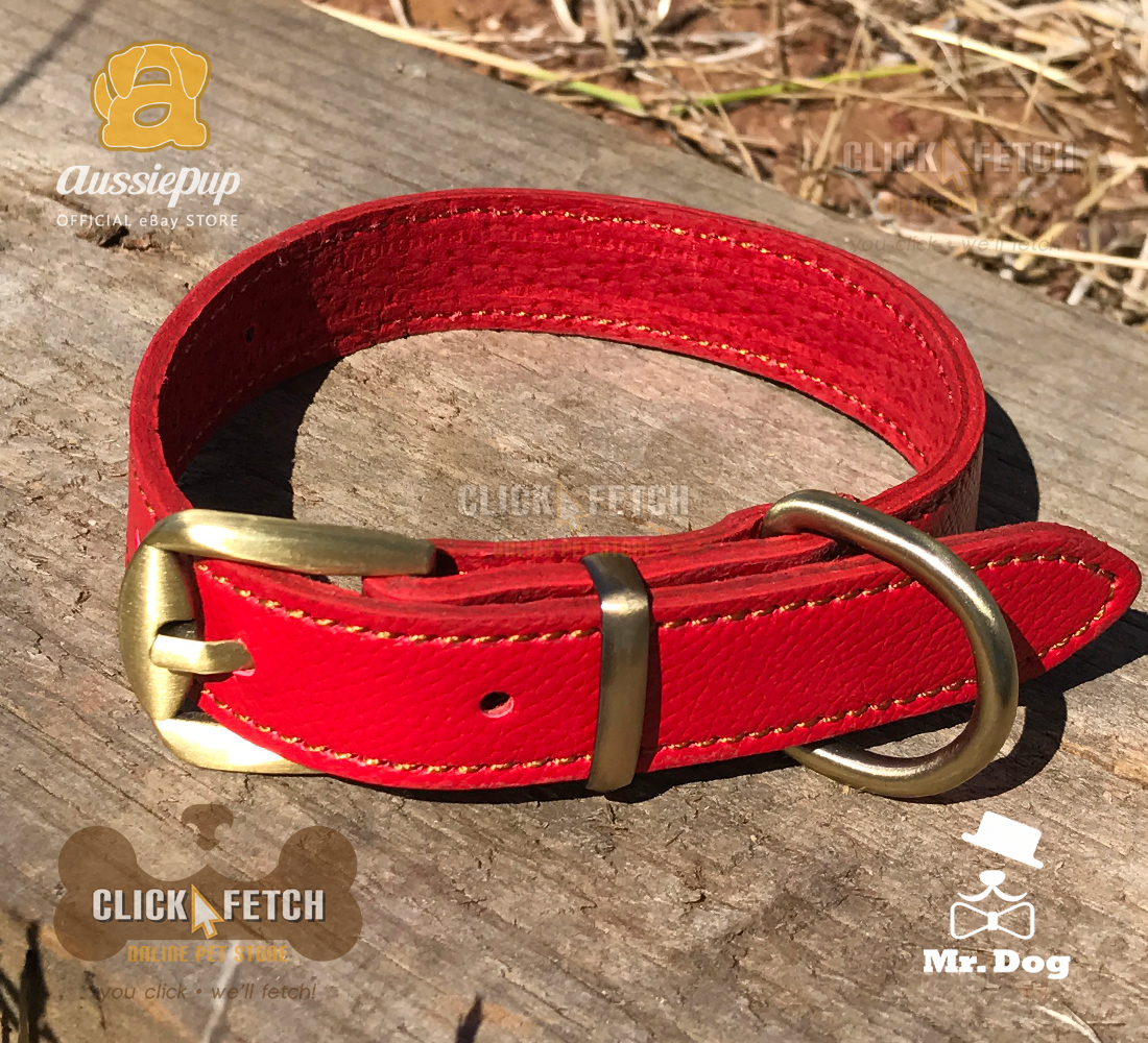 Brass Buckle Collar - Red [Small]