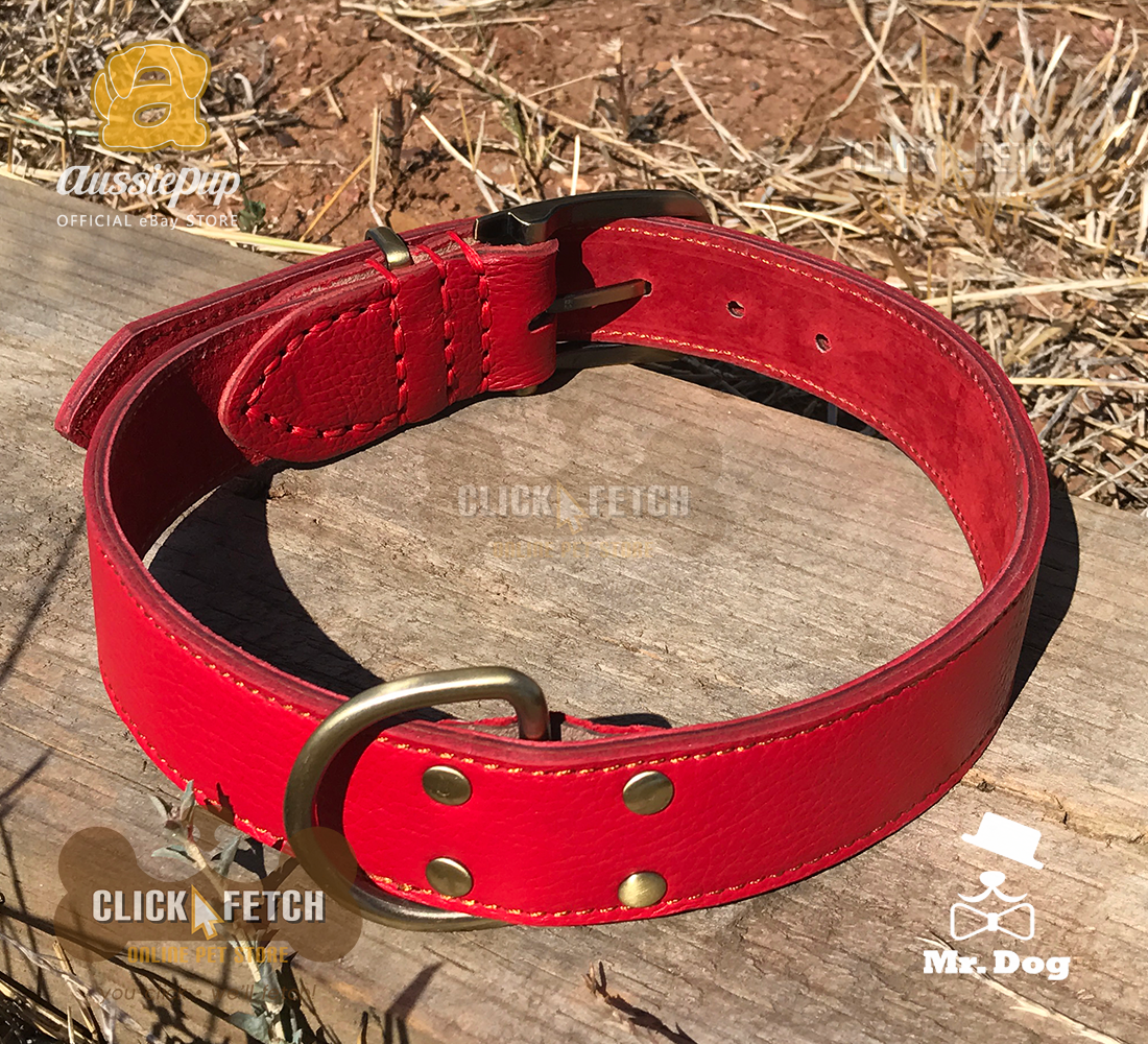 Brass Buckle Collar - Red [Extra Large]