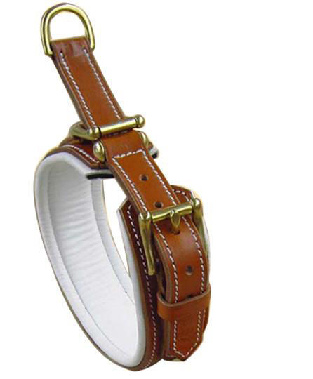 Padded Dog Collar - Genuine Leather - TrendCo