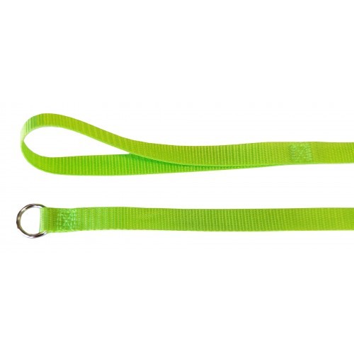 Puppy Slip Leash [Green] 