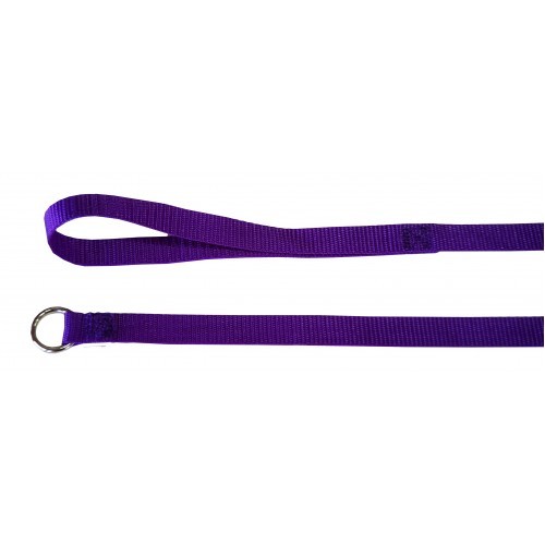 Puppy Slip Leash [Purple]