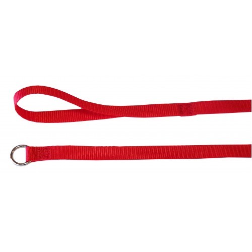 Puppy Slip Leash [Red]