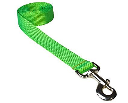Puppy Leash [Lime Green]