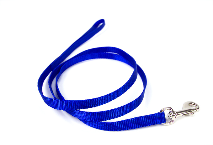 Puppy Leash [Blue] 