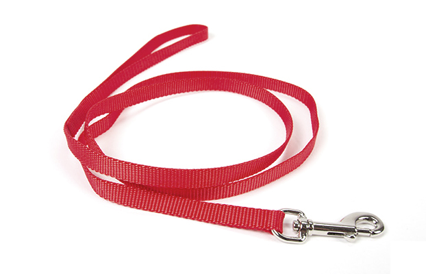 Puppy Leash [Red] 