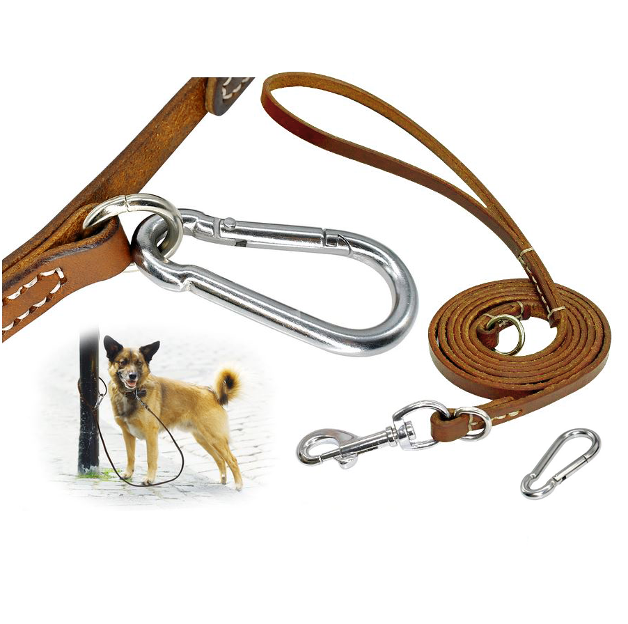 tether leash for dogs