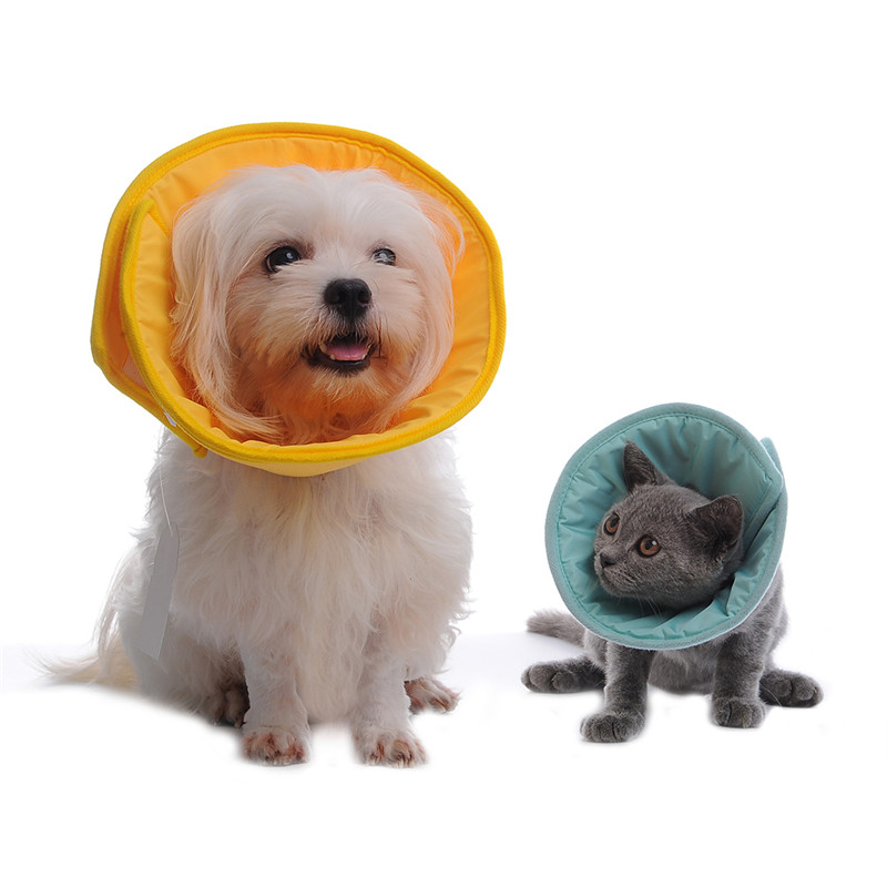 Padded Pet Recovery Cone (Elizabethan collar)