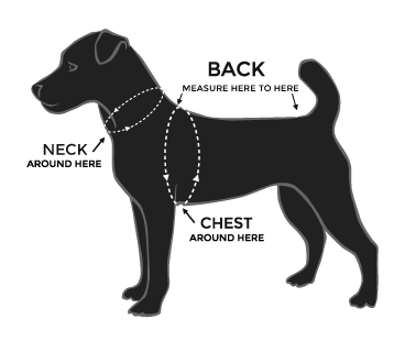 How to measure your dog graphic. Back/Length: from base of tail to between shoulder blades. Neck: measure base of neck. Chest: from back between shoulder blades and around chest (down under front legs)
