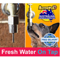 Australian Dog Drinking Fountain