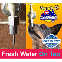 Automatic Doggy Drinker  Dog Fountain  Aussiepup