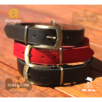 Genuine Leather Collars with Brass Buckle and D-Ring