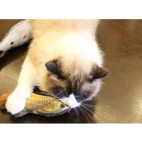 Catnip Filled Fish toys for Cats & Kittens