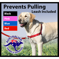 Front tether dog harness - stops dogs pulling