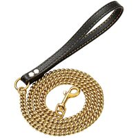 Gold Rolled Chain Dog Leash